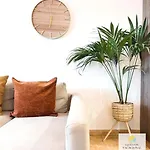 Apartment Beautiful View Roque Del Conde
